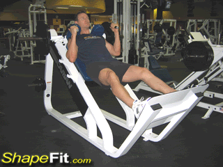 腿部<a href=http://www.muscles.com.cn/Exercise/ target=_blank class=infotextkey>肌肉锻炼</a>方法大全包含各个肌肉部位